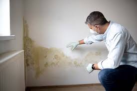 Forensic Mold Investigation in Geneva, AL